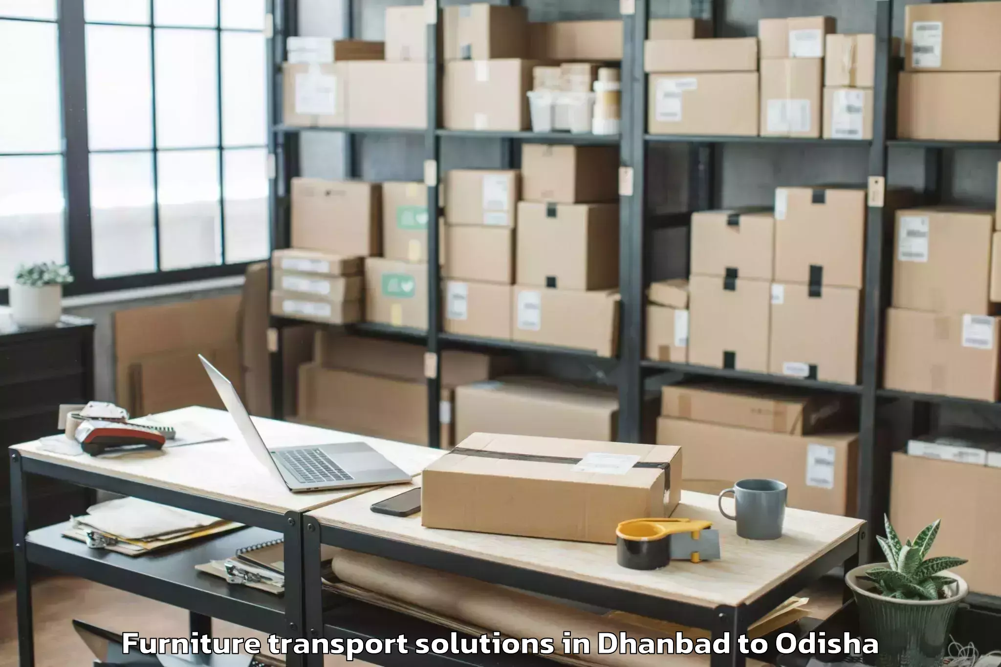 Quality Dhanbad to Nuapada Furniture Transport Solutions